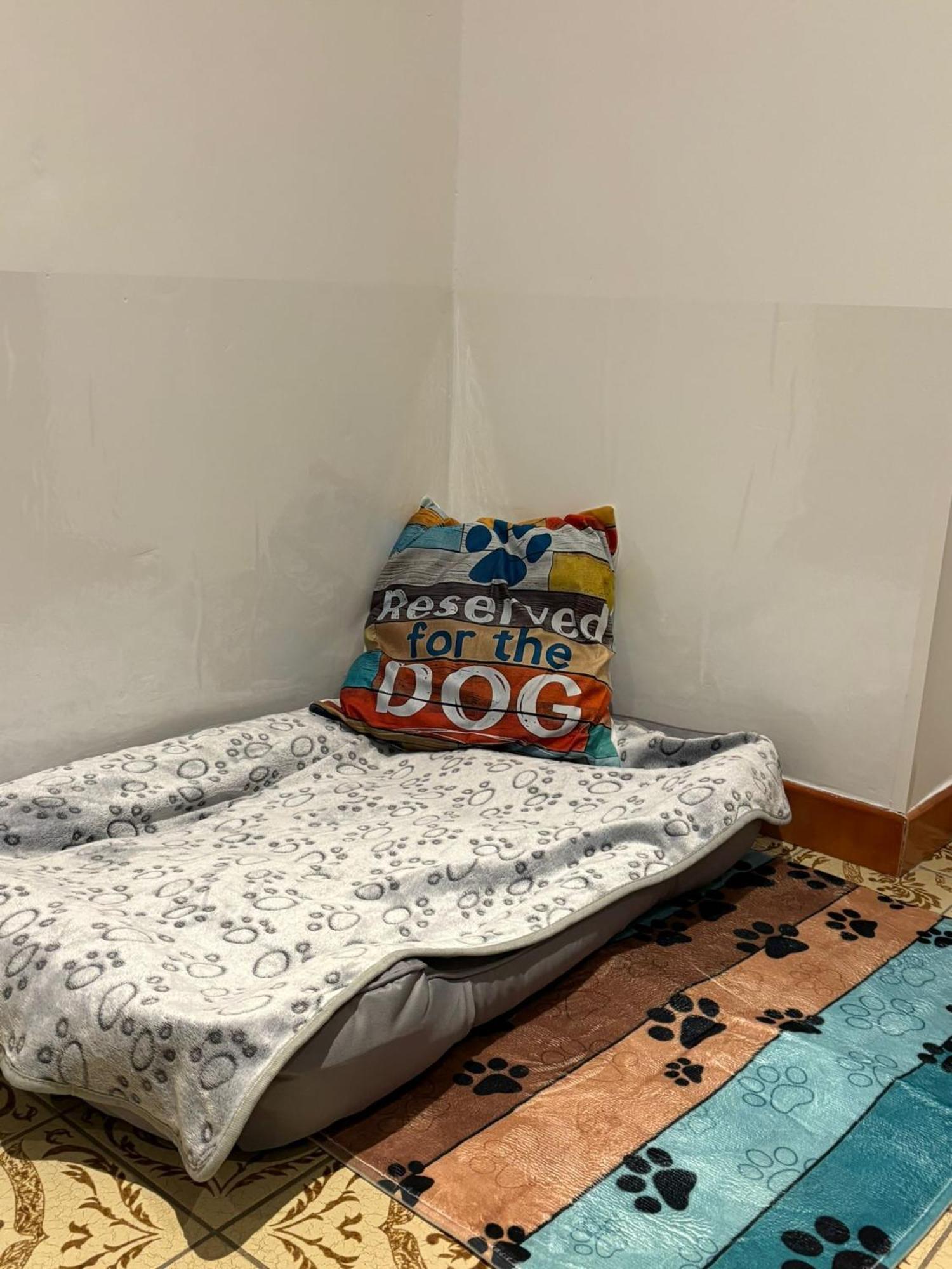 Ferienwohnung Heiabett Wies Ngoại thất bức ảnh